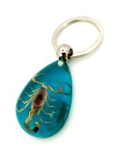 Have You Seen My Blue Scorpion Keyring? The lucky winning bidder of this curiosity will be