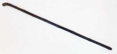 Antique Bamboo 'Root-Ball End' Sword Walking Stick. The hidden blade tapers to the end and