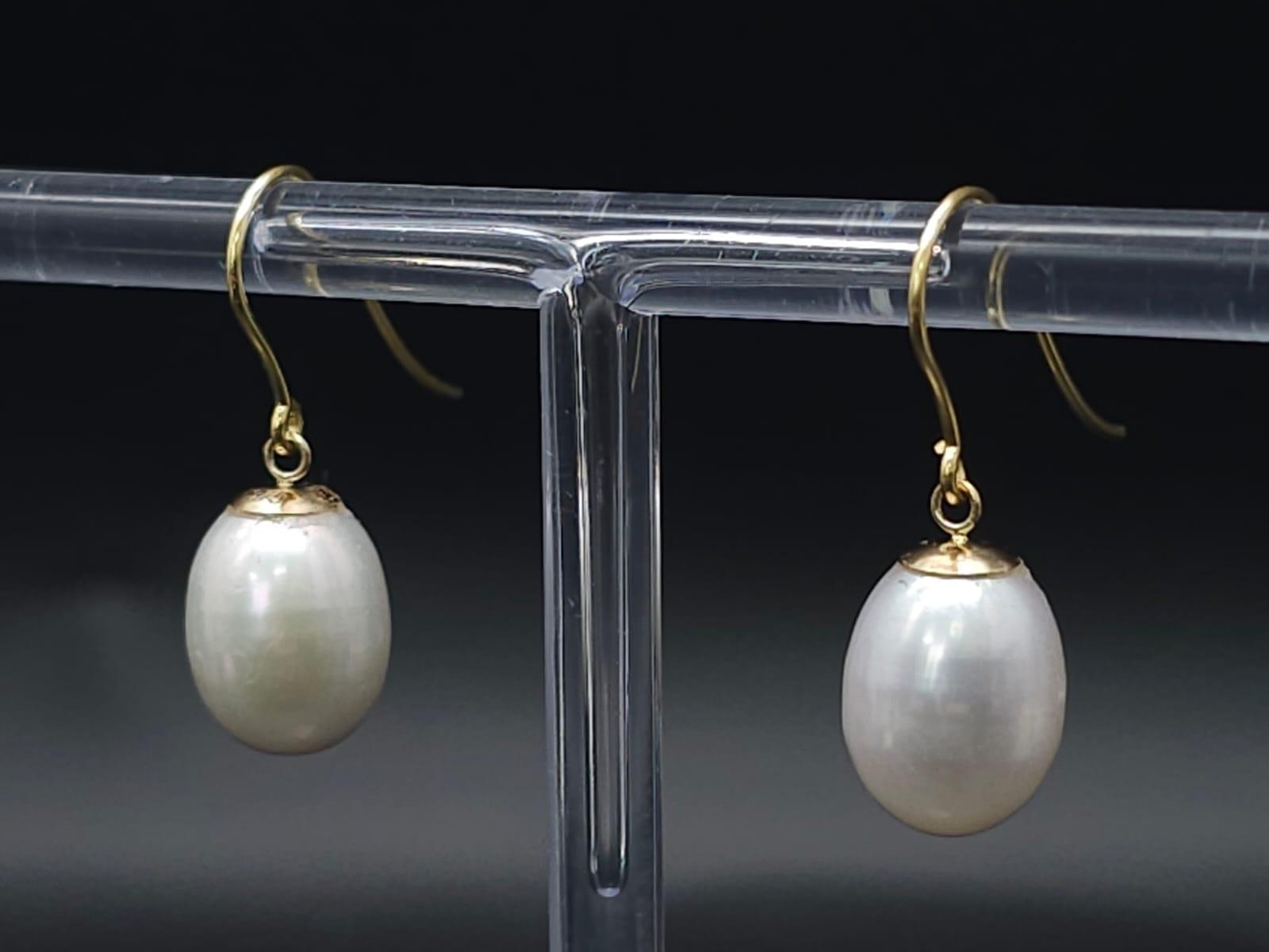 A Pair of 9K Yellow Gold and South Sea Pearl Earrings. 3.7g total weight. - Image 6 of 6