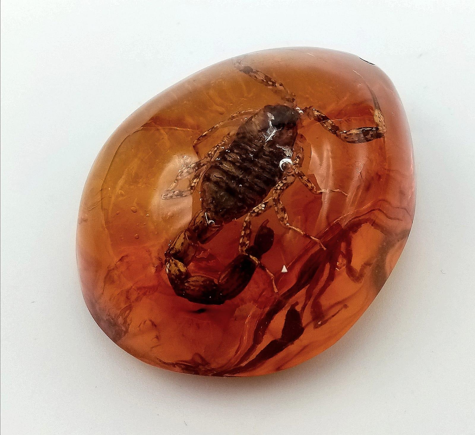 A Scorpion Scores the Winning Goal and Gives the Heart Salute - Amber resin, pendant or paperweight. - Image 2 of 4