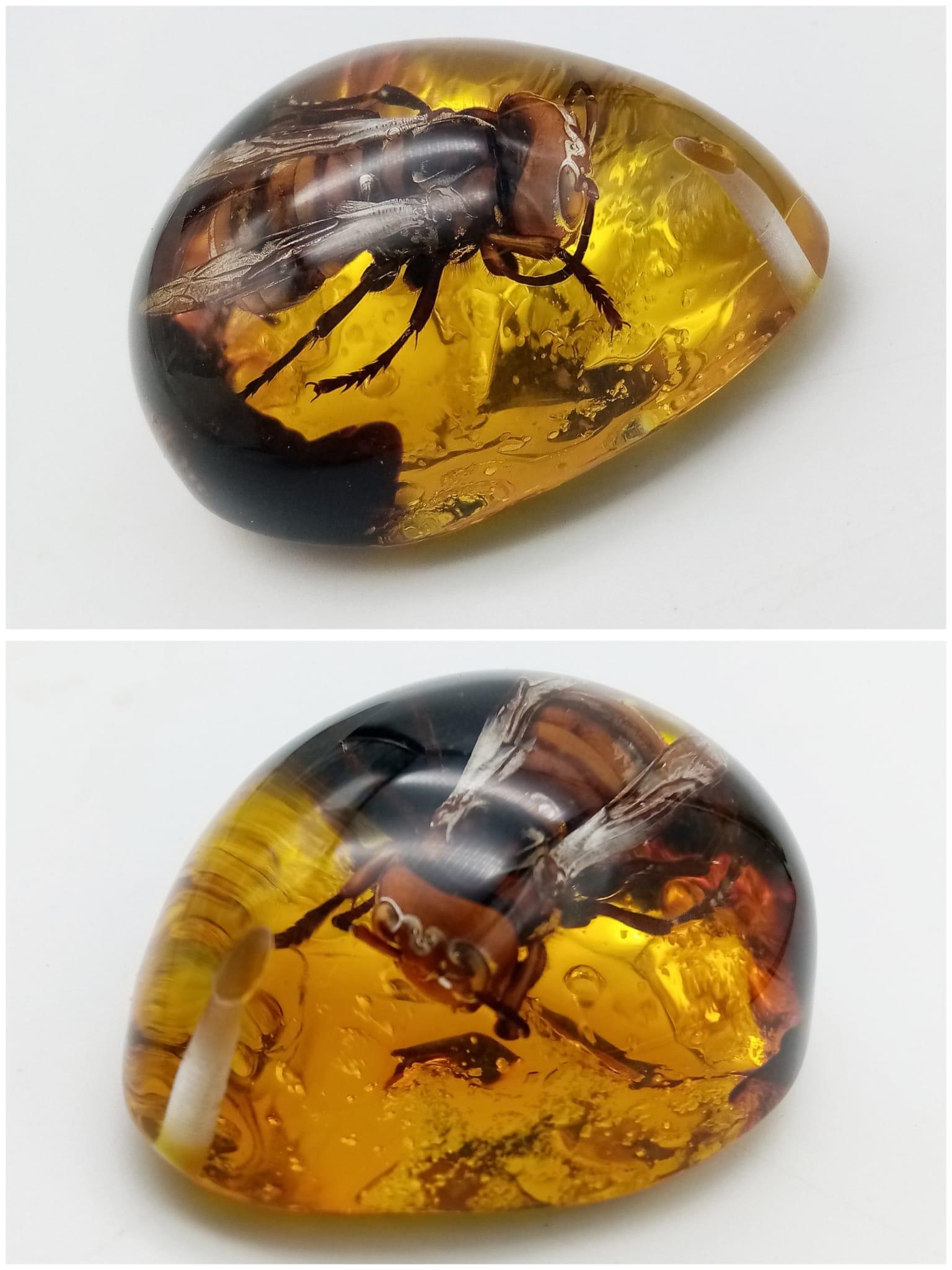 Here's One Asian Hornet That Won't Be Biting the Head off our Bees. Pendant or paperweight. 6cm - Image 2 of 3