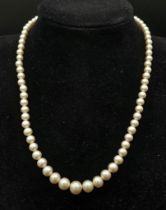 A Vintage Graduated Pearl Necklace with a 9K Gold Clasp. 40cm.