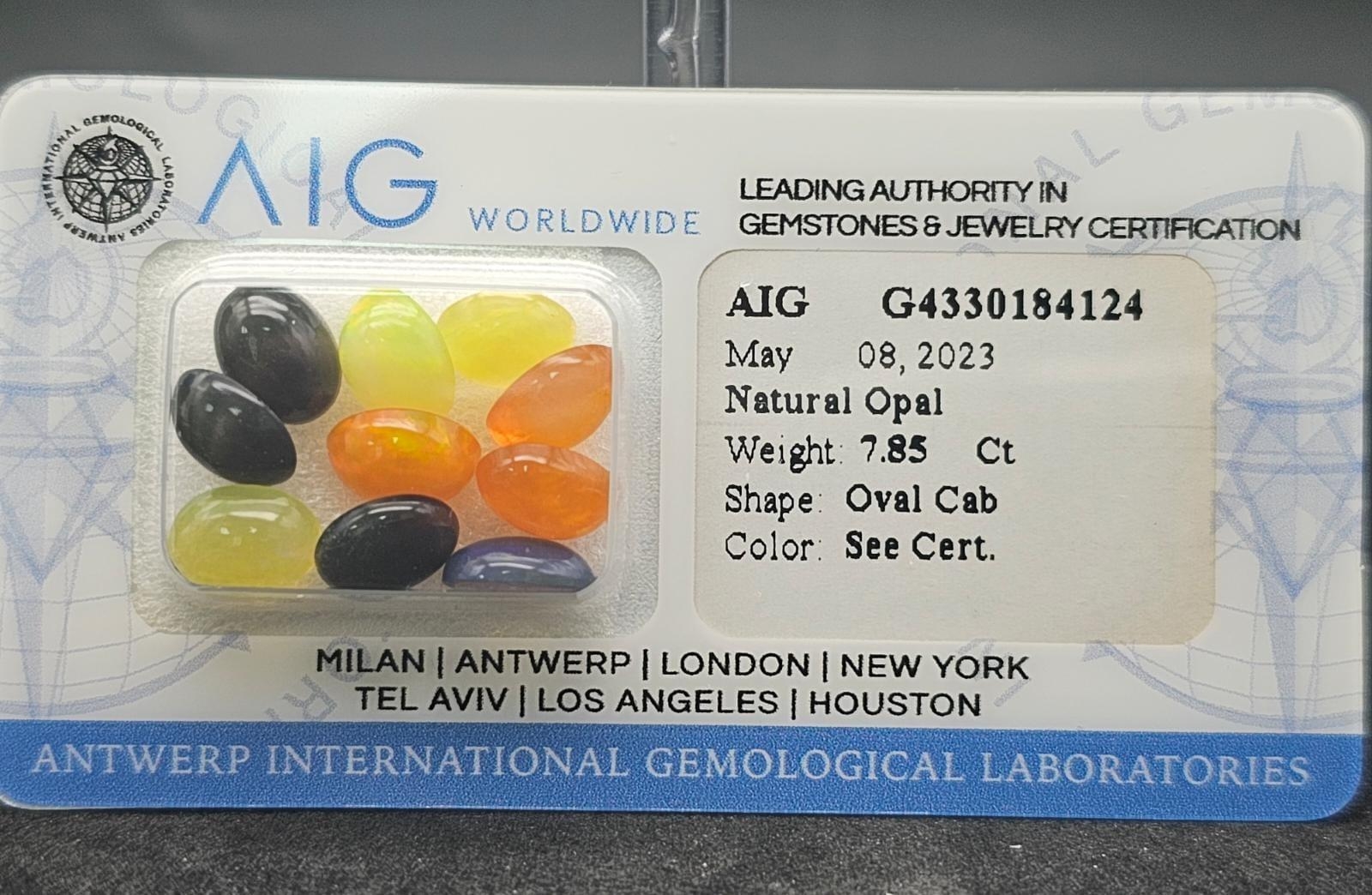 A 7.85ct Multi Colour Natural Gemstone Lot of Ten Opals. AGI Milan Certified. Comes in a sealed - Image 2 of 4