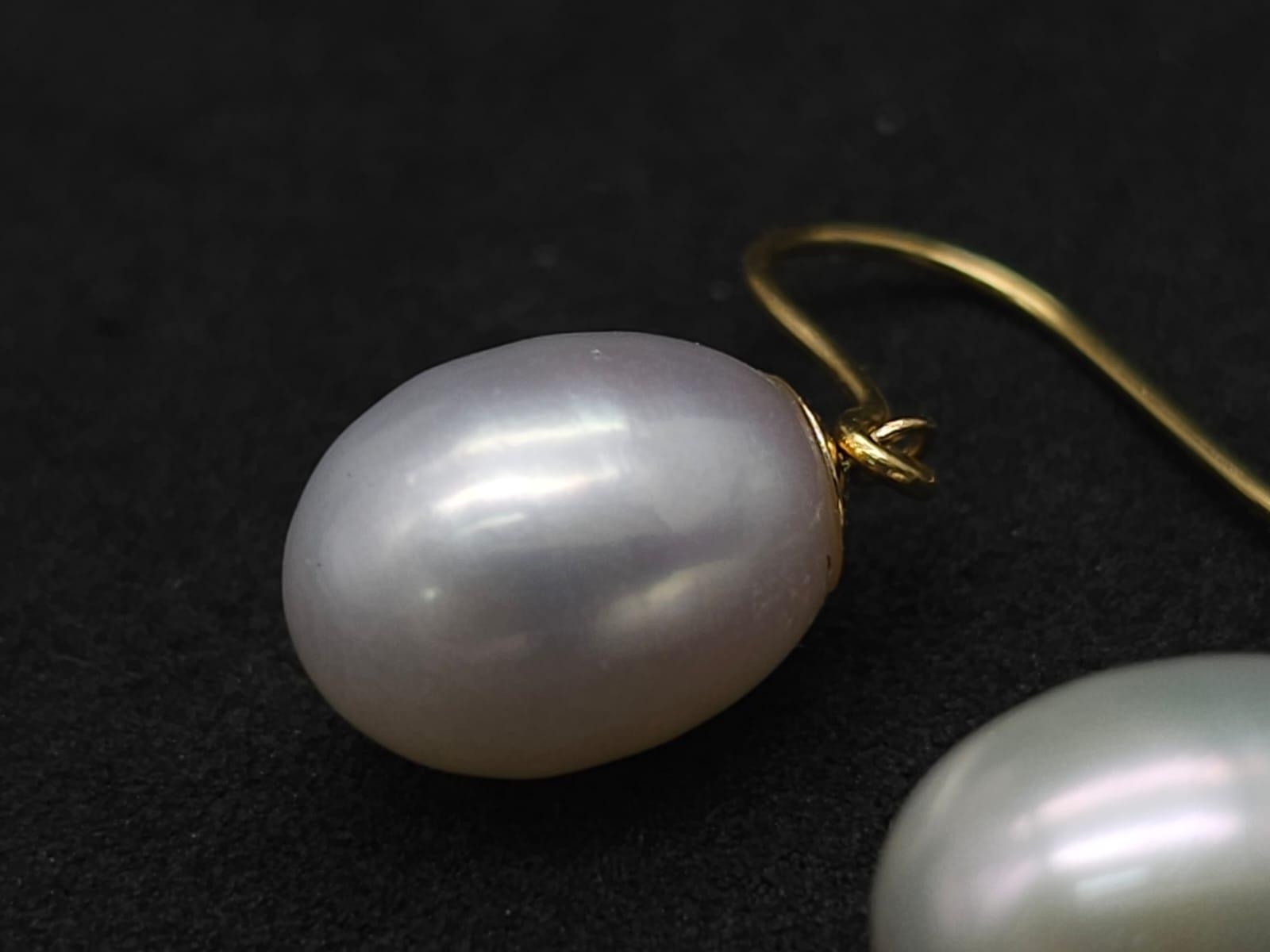 A Pair of 9K Yellow Gold and South Sea Pearl Earrings. 3.7g total weight. - Image 3 of 6