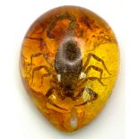 A Large Scorpion Resides in a Sea of Amber Resin. Pendant or paperweight. 6cm