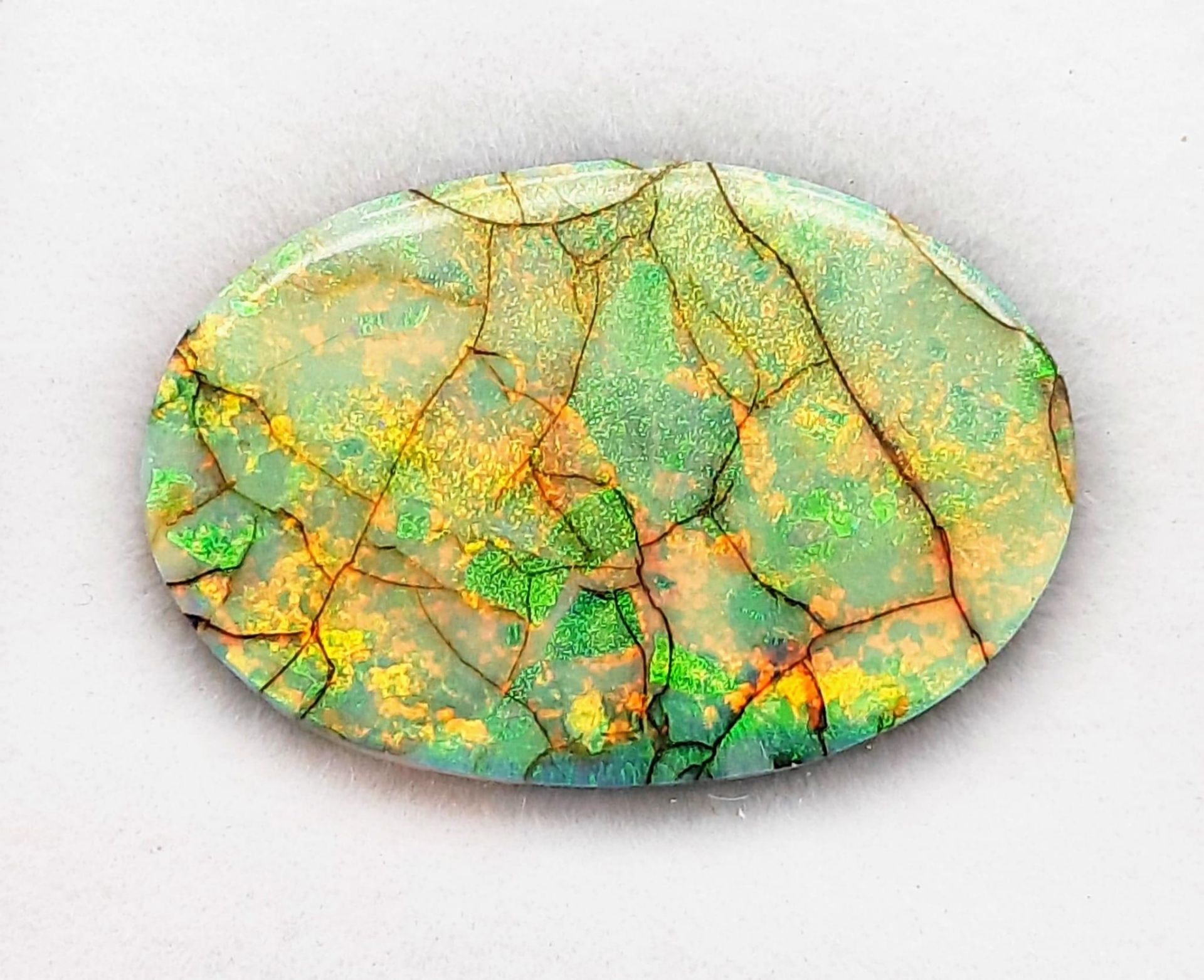 A beautiful MONARCH OPAL with strong iridescence on both sides of the oval shaped stone. Weight: 9.8