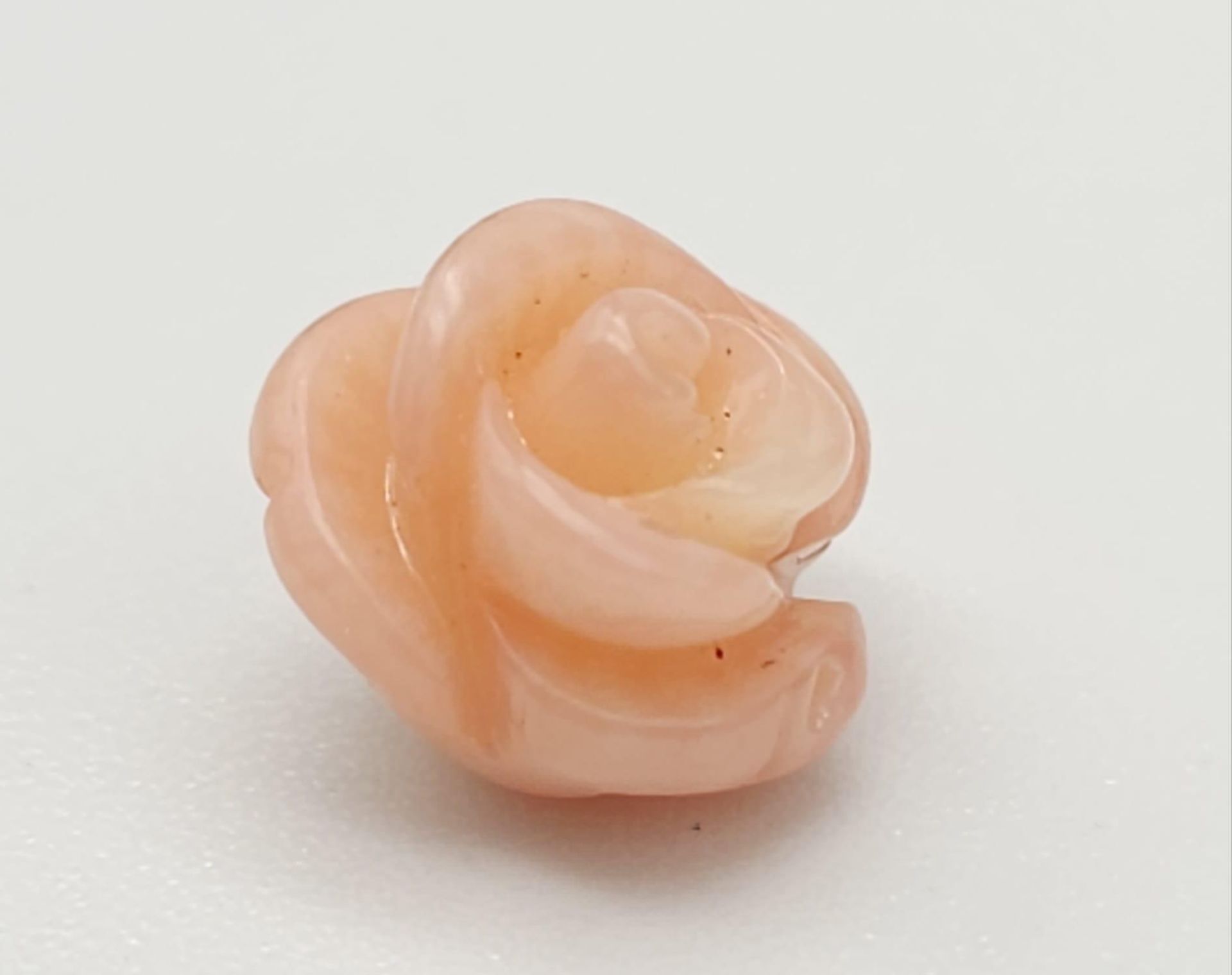 A 2.90 Ct Carved Italian Pink Coral in Round Shape. GLI Certified.