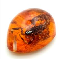 'You Call That a Scorpion?' In amber coloured resin. Pendant or paperweight. 6cm.