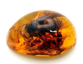 A Humongous Hornet Now Lives A General Zod-Esque Existence. Pendant or paperweight. 6cm.