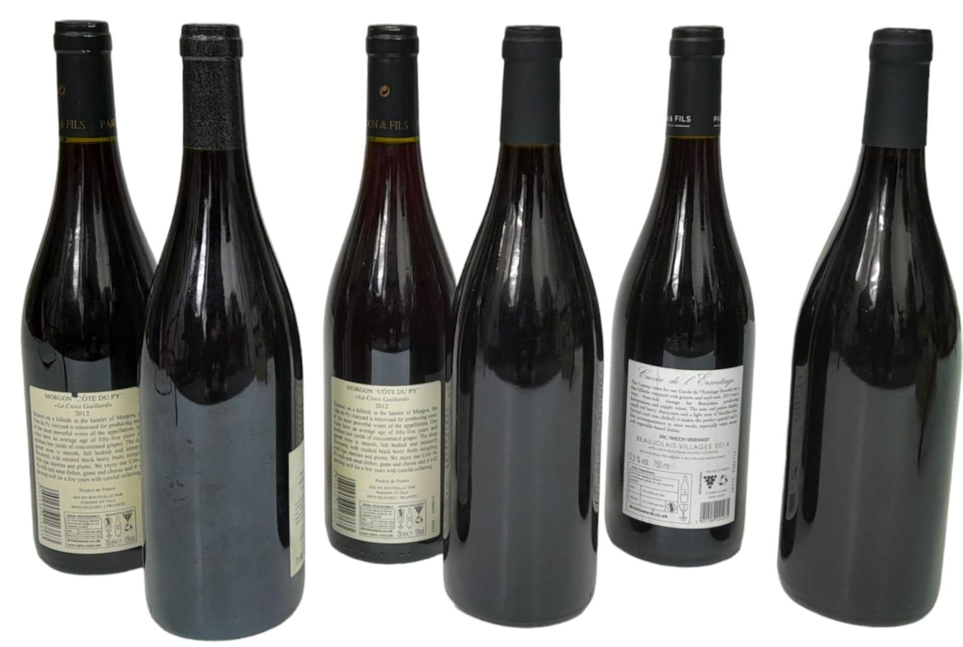 6 Bottles of Cru Beaujolais Consisting of: 2 x Chiroubles Domaine Gravallon Lathuliere 2009 2 x - Bild 2 aus 10