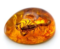 A Scorpion Whose Last Ever Movement was an L.A. Gang Sign. R.I.P. in amber resin. Pendant or