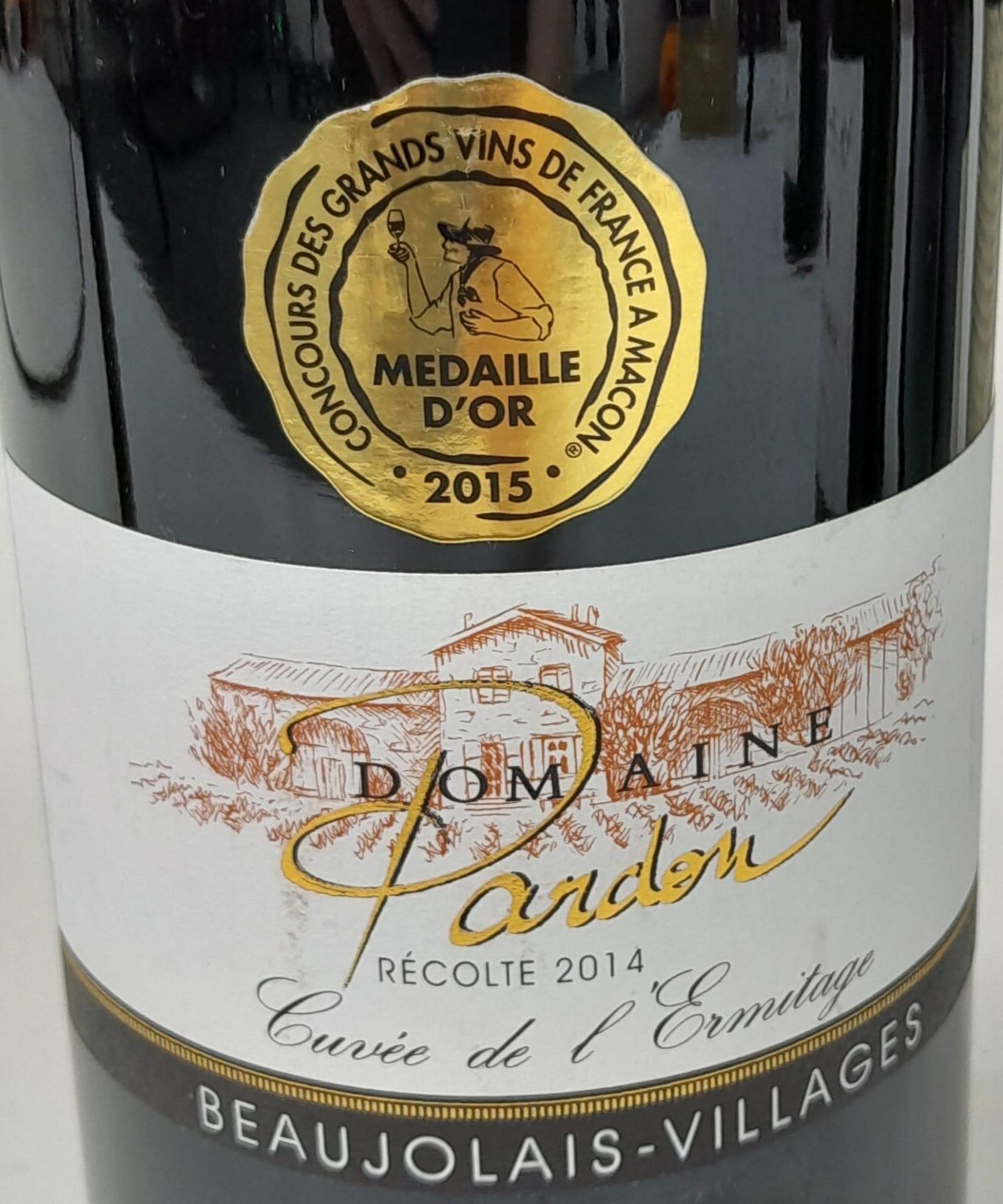 6 Bottles of Cru Beaujolais Consisting of: 2 x Chiroubles Domaine Gravallon Lathuliere 2009 2 x - Bild 6 aus 10