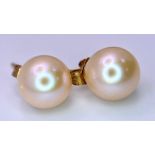 A Pair of 9K Yellow Gold Pink Cultured Stud Earrings. Boxed. Ref: 5539