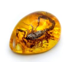 A Scorpion isn't Just for Christmas. Pendant or paperweight. 6cm