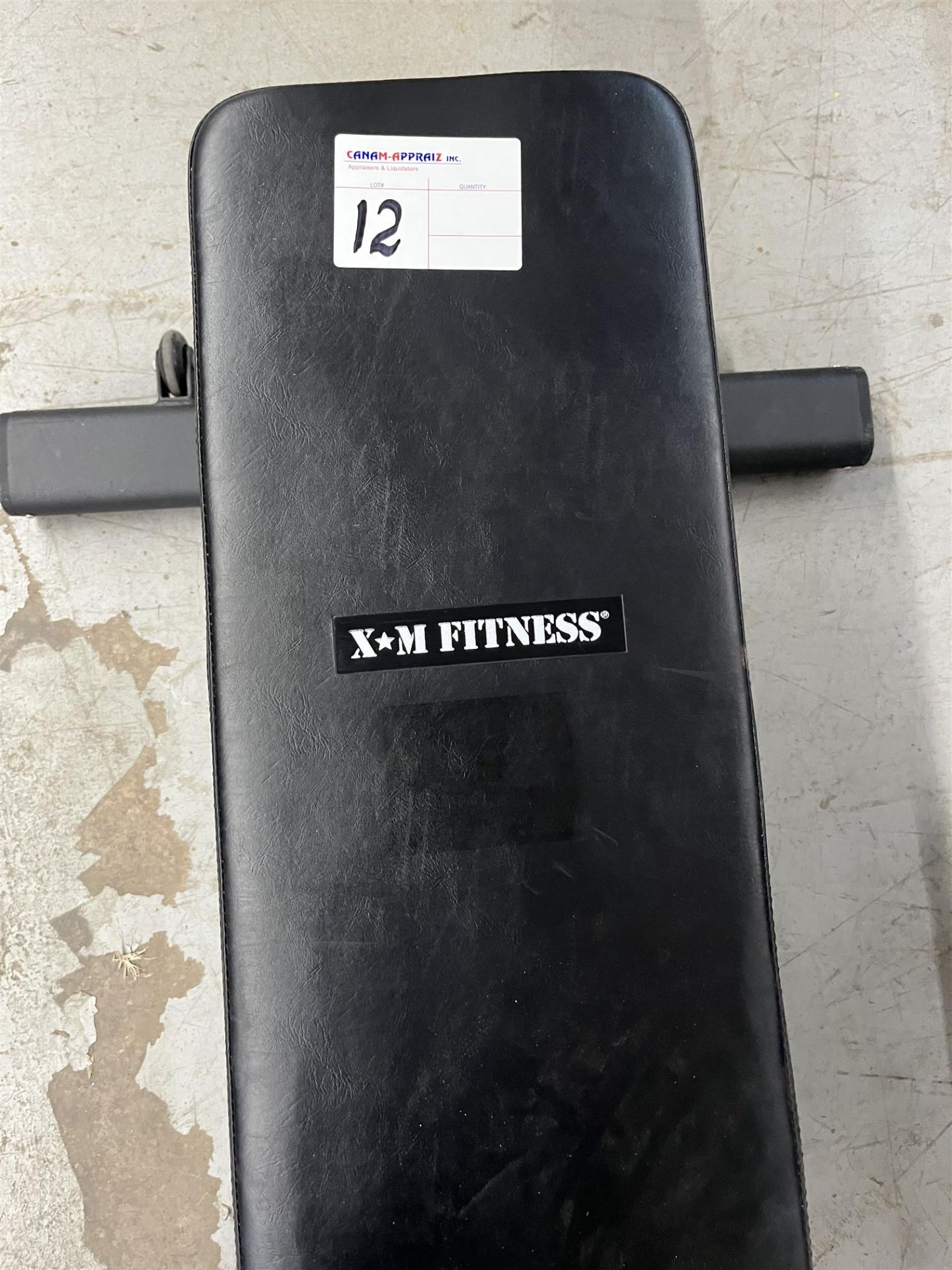 X*M Fitness Weight Bench