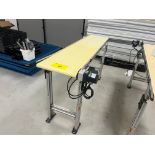 DORMER SERIES 2200 MOTORIZED BELT CONVEYOR, APPROX. 16"W