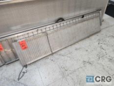 EZ Access aluminum loading ramps