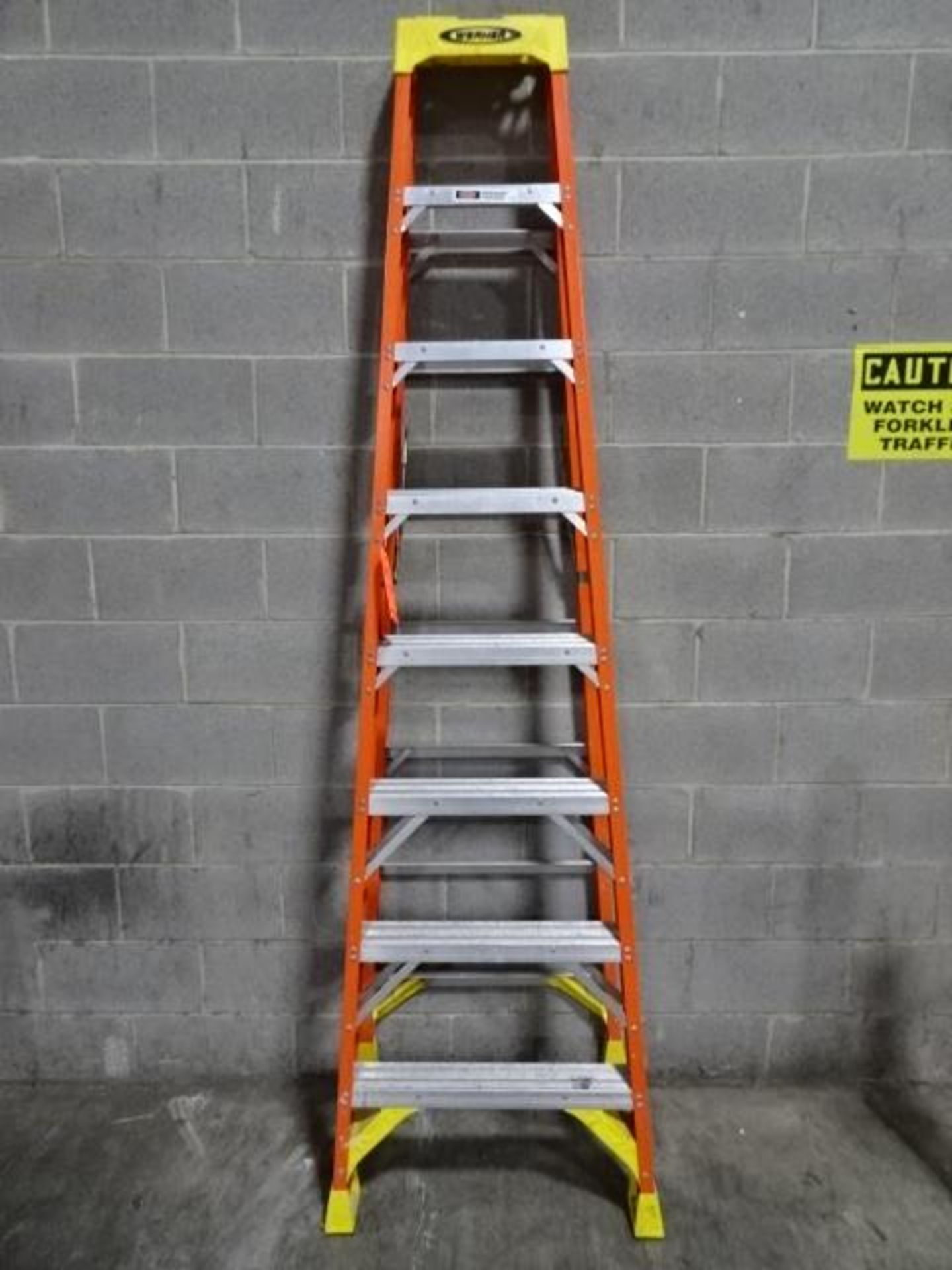 Werner Ladder