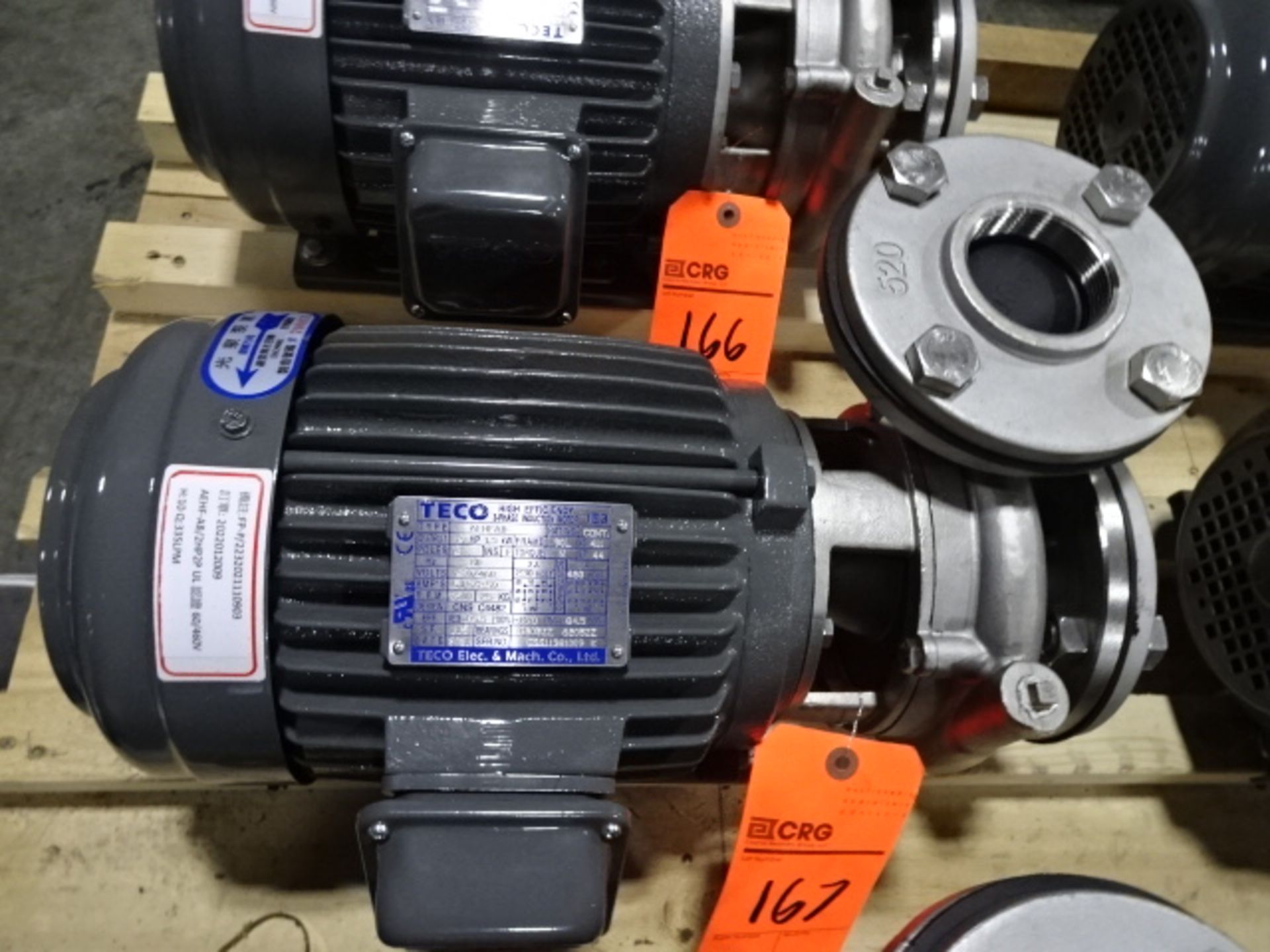 Teco Transfer Pump