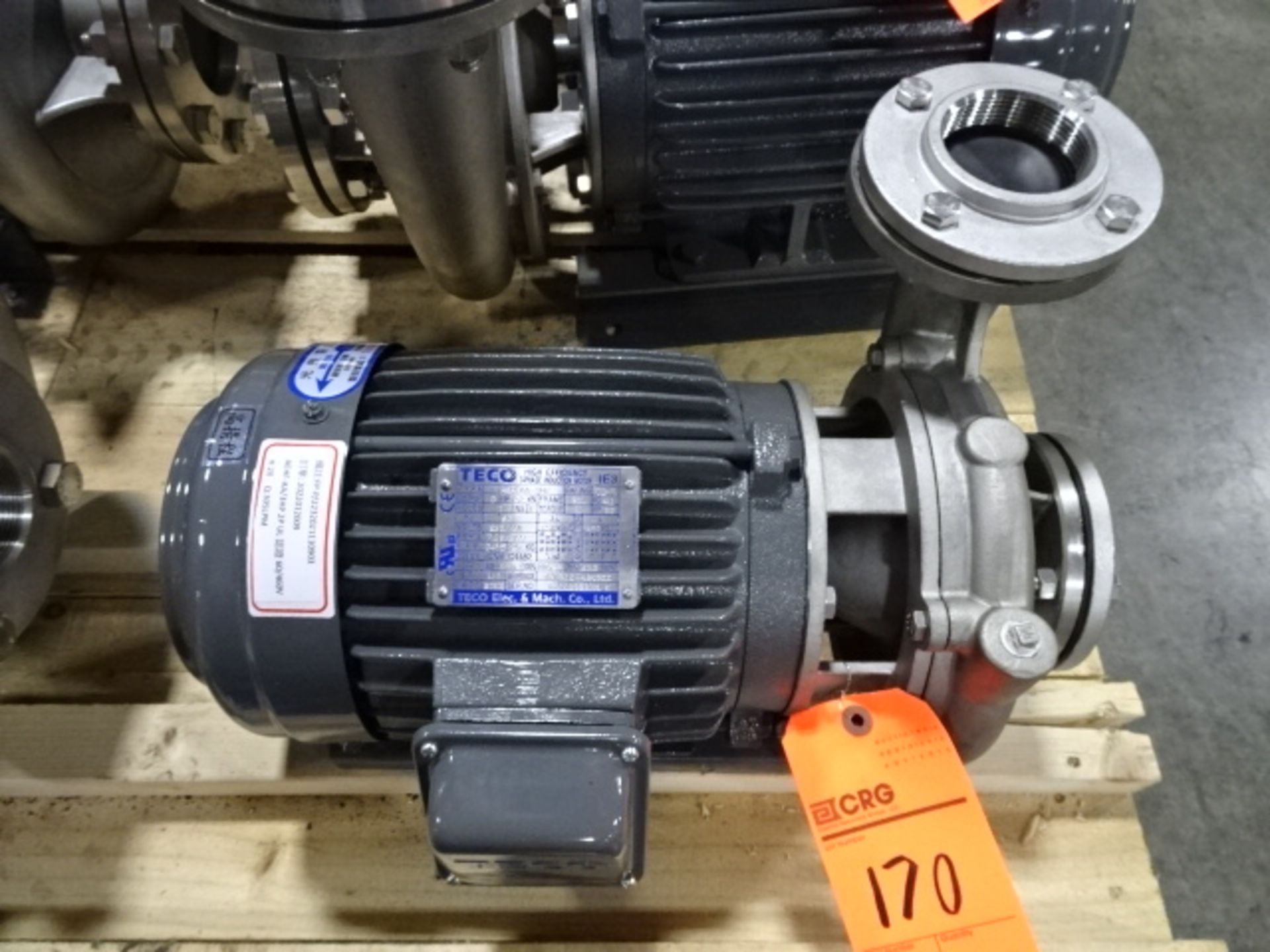 Teco Transfer Pump