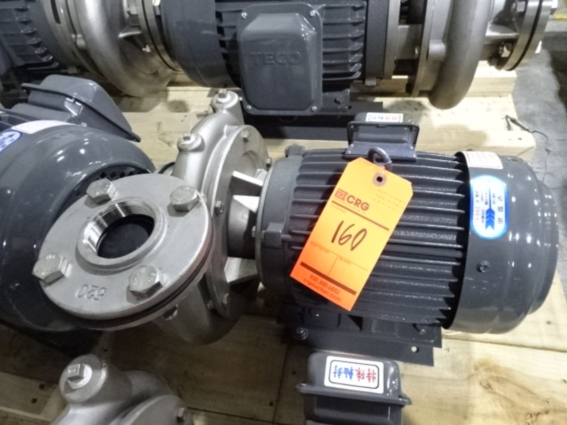 Teco Transfer Pump