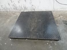 Mild Steel Floor Scale