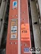 Werner Fiberglass Extension Ladder