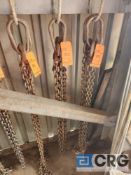 Single Hook Lifting Chain