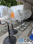 Assorted Pedestal Fans