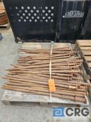 Assorted Tent Stakes