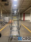 Ballymore Rolling Ladder