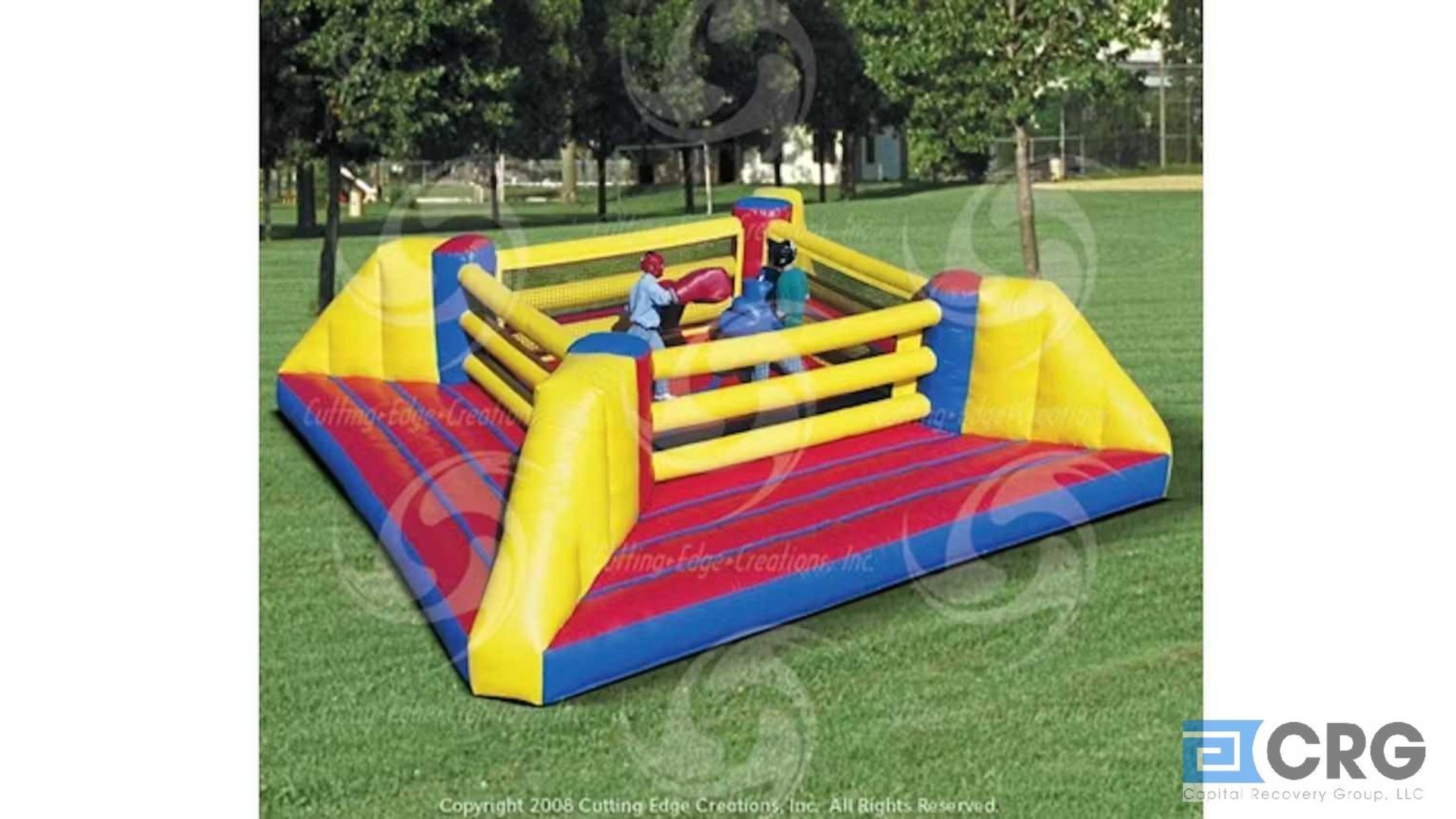 Bouncy Boxing Inflatable