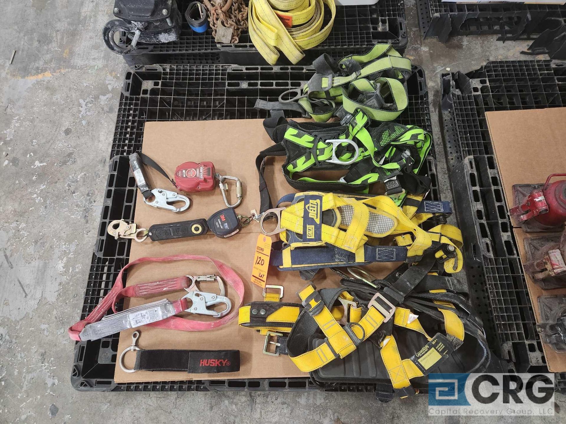 Safety Harnesses and Restraints