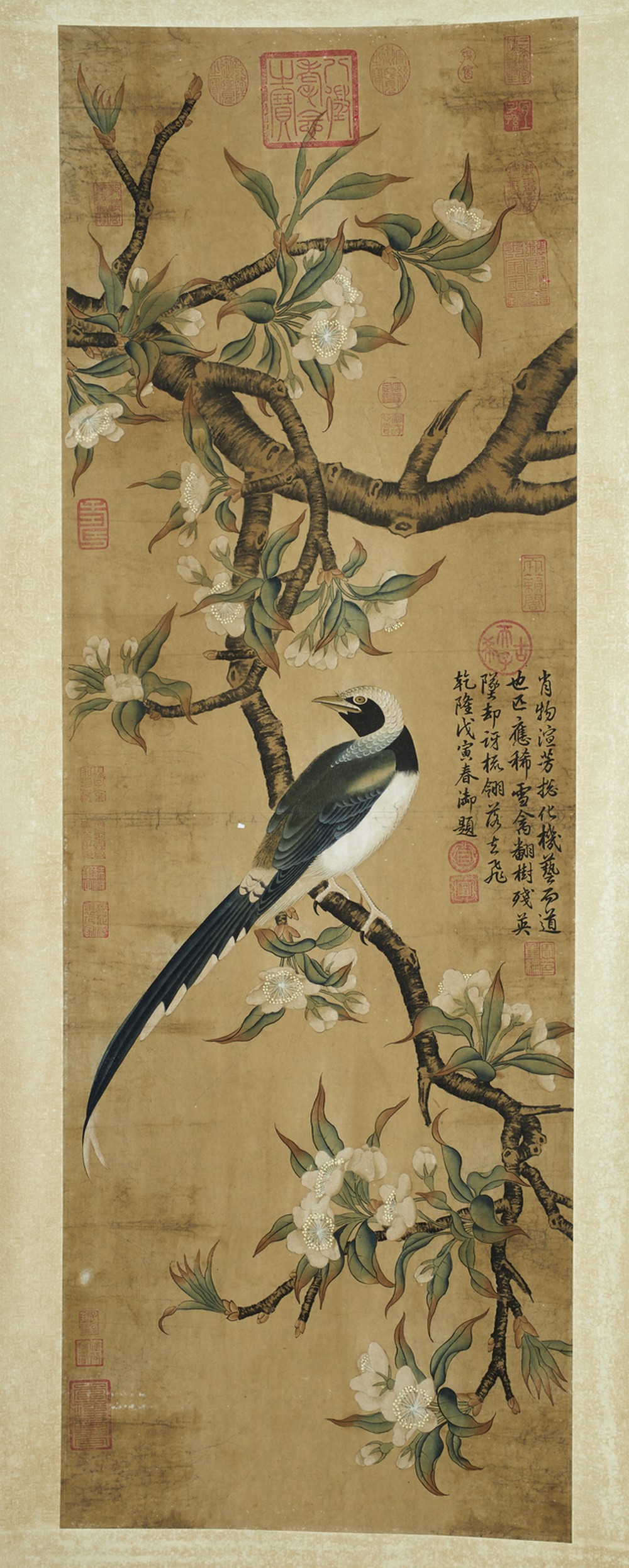 Arte Cinese A scroll painting depicting a bird on a blossoming branch China, Qing dynasty, early 20 - Image 2 of 3