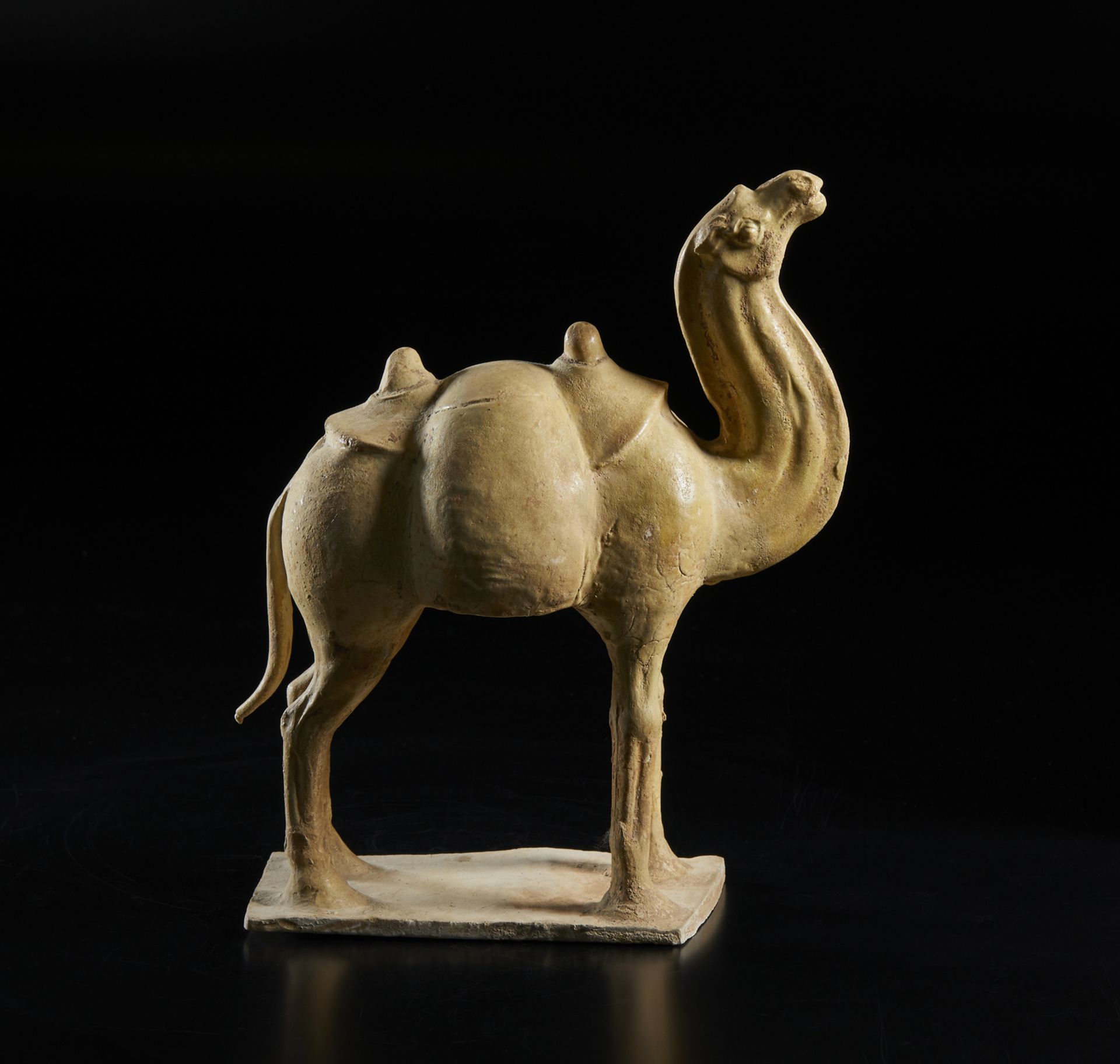 Arte Cinese A white glazed model of a standing caparisoned camel China, Northern Wei, 5th century A - Image 2 of 4