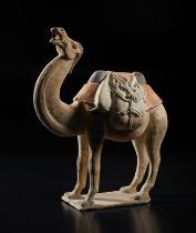 Arte Cinese A fine model of a caparisoned bactrian camelChina, Tang dynasty, 8th century .