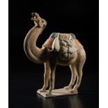Arte Cinese A fine model of a caparisoned bactrian camelChina, Tang dynasty, 8th century .