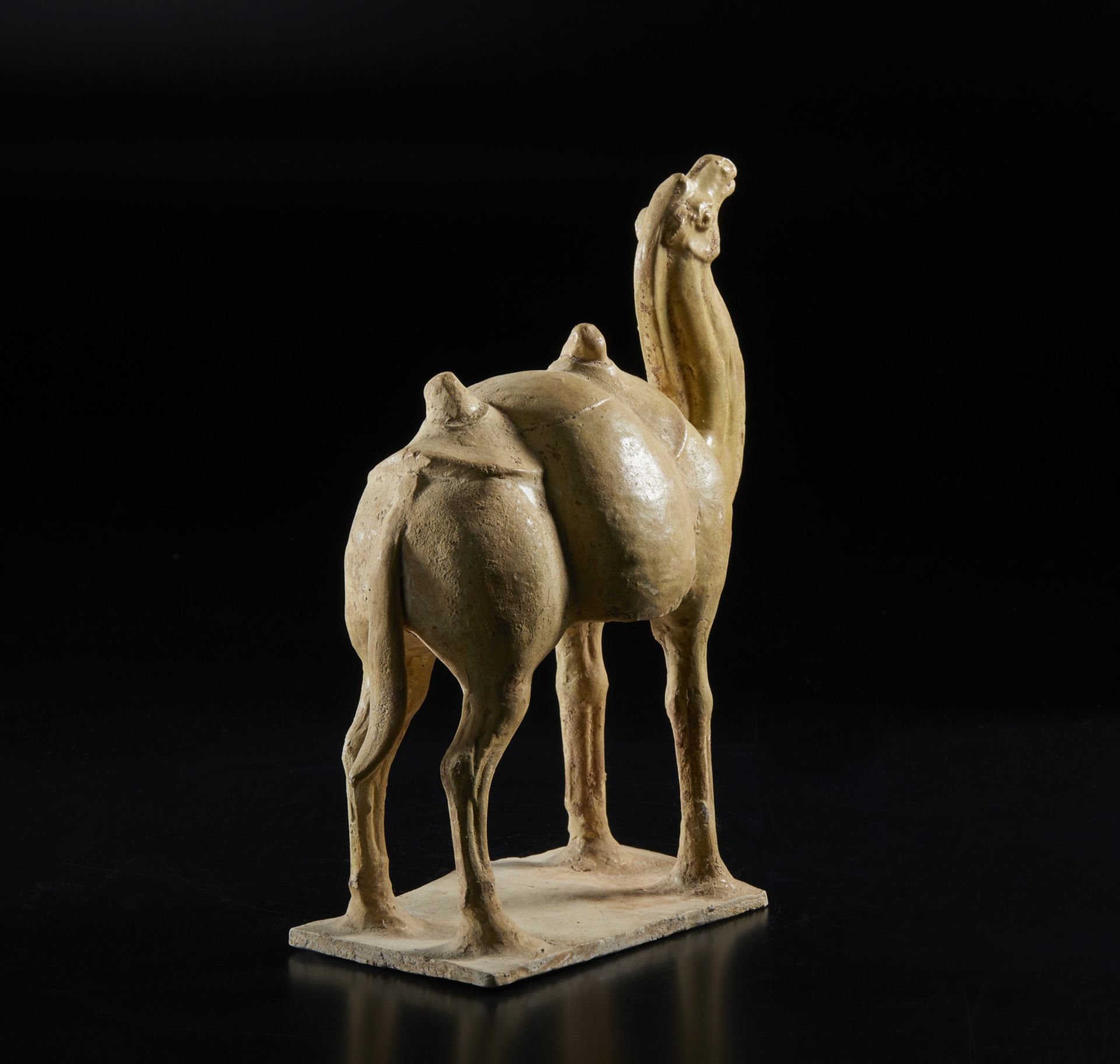 Arte Cinese  A white glazed model of a standing caparisoned camel China, Northern Wei, 5th century A - Bild 4 aus 4