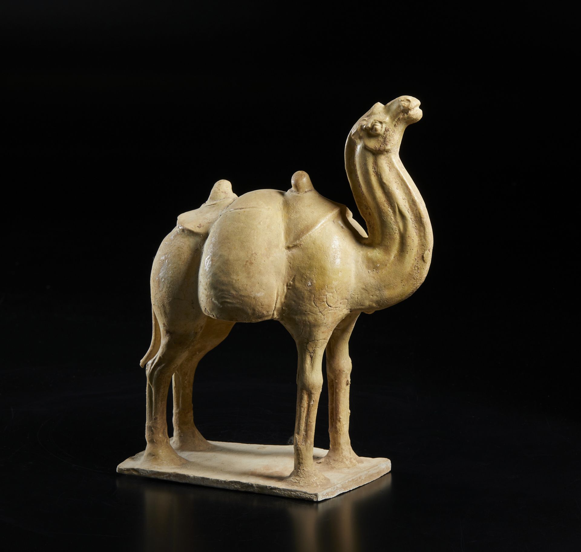 Arte Cinese  A white glazed model of a standing caparisoned camel China, Northern Wei, 5th century A