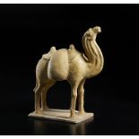 Arte Cinese A white glazed model of a standing caparisoned camel China, Northern Wei, 5th century A