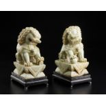Arte Cinese A pair of mottled jade buddhist lions China, 20th century .