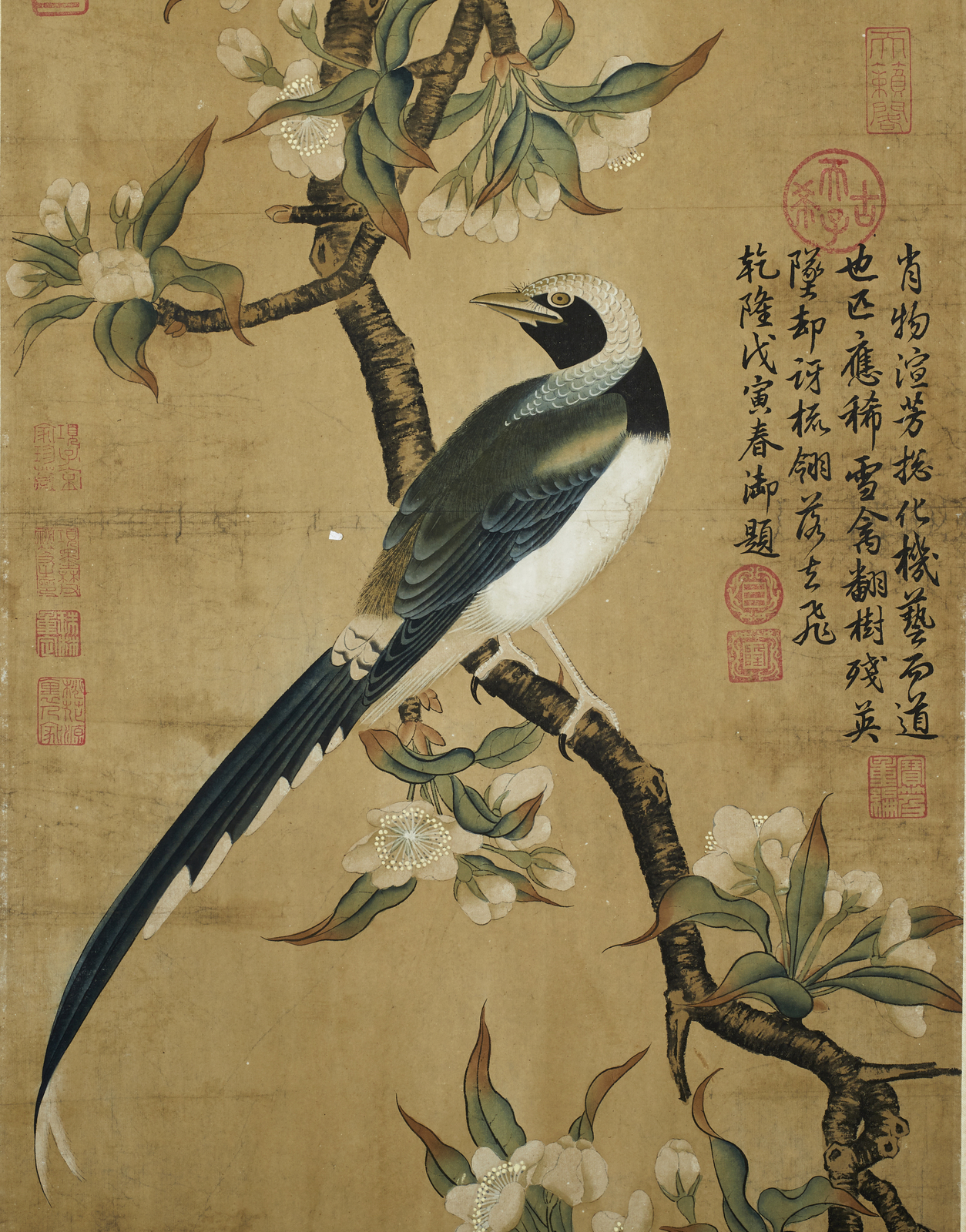 Arte Cinese A scroll painting depicting a bird on a blossoming branch China, Qing dynasty, early 20 - Image 3 of 3