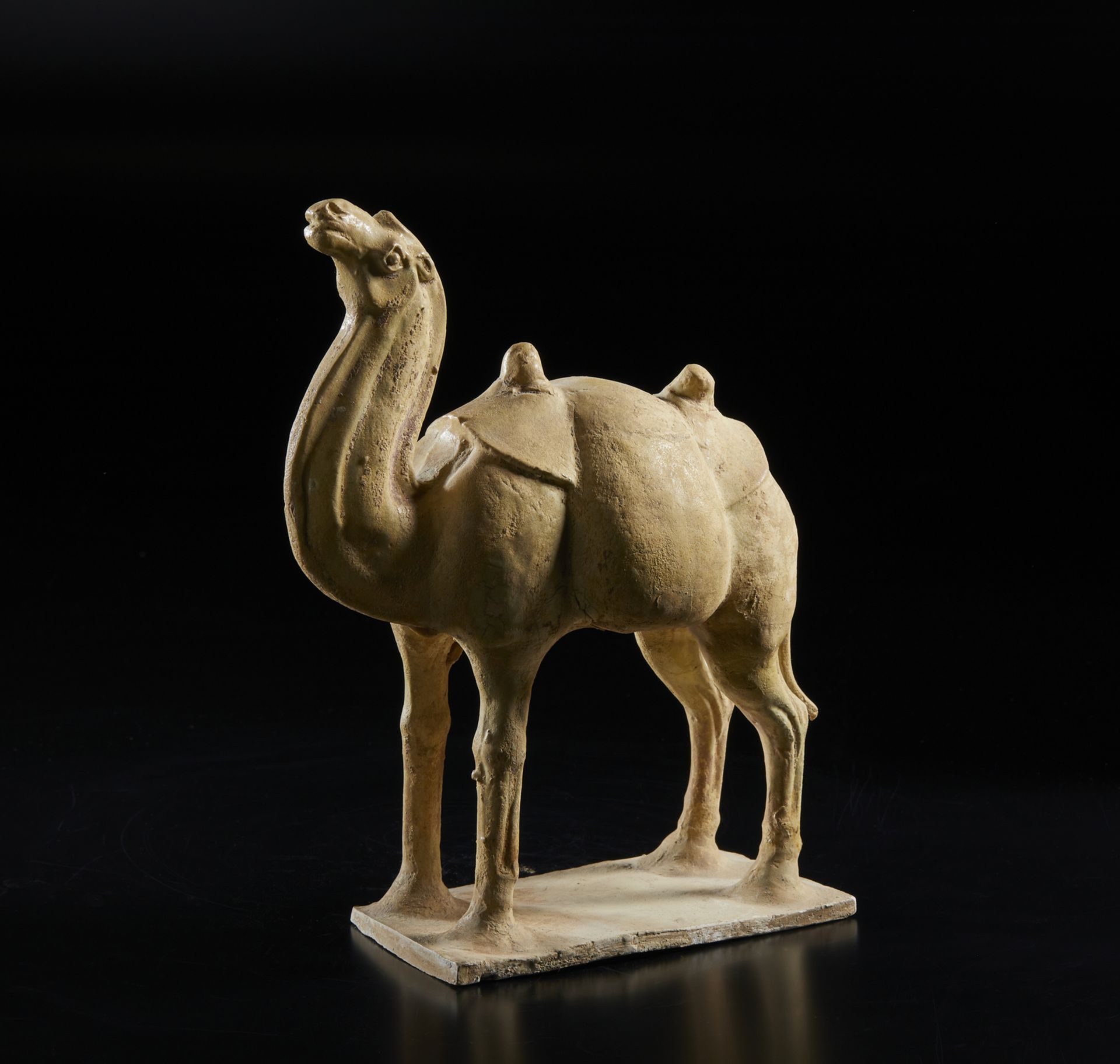 Arte Cinese A white glazed model of a standing caparisoned camel China, Northern Wei, 5th century A - Image 3 of 4