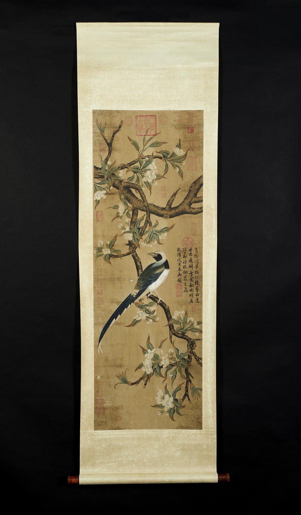 Arte Cinese A scroll painting depicting a bird on a blossoming branch China, Qing dynasty, early 20