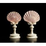 . A pair of mounted pecten shells.