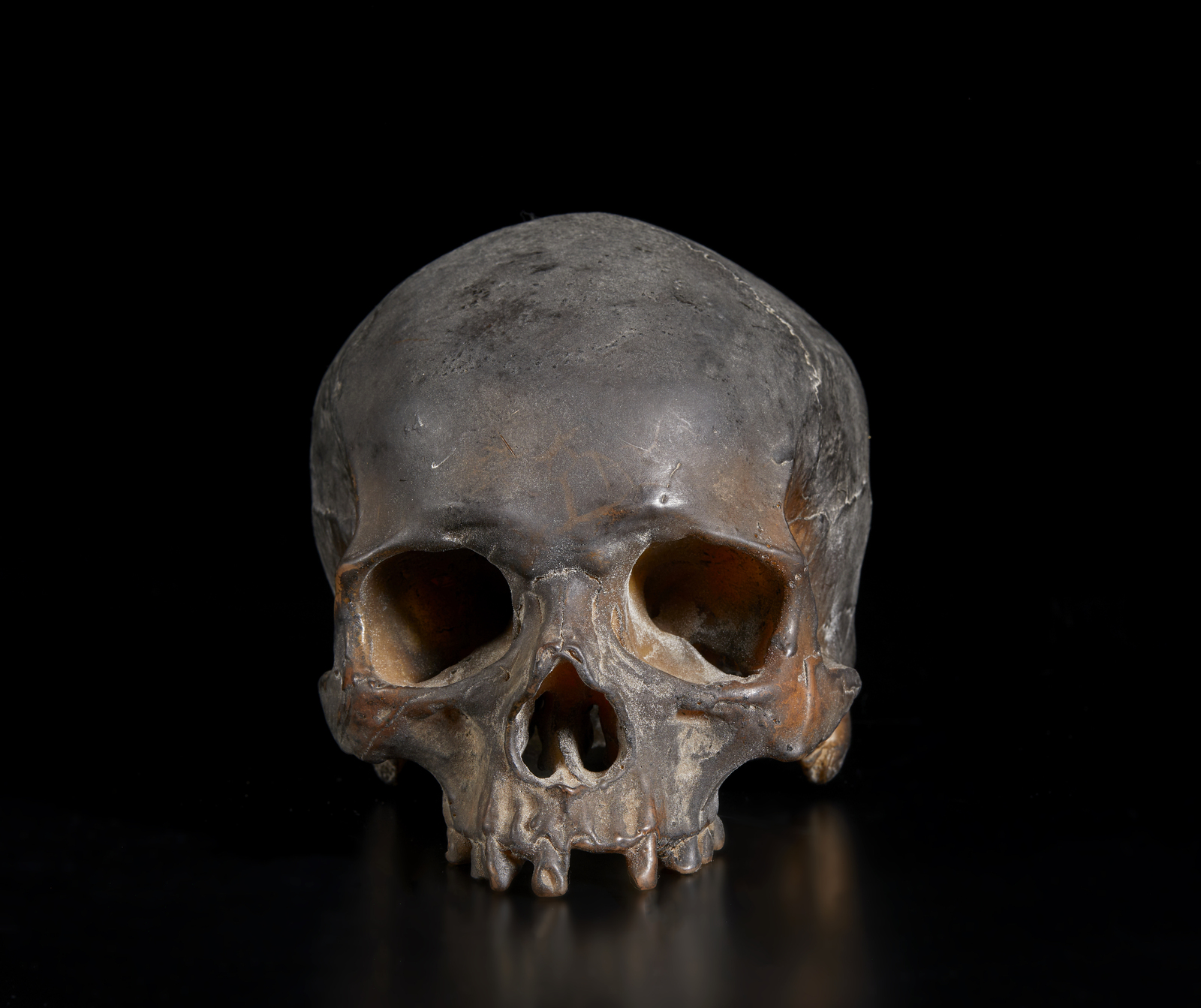 . A real size wax model of a human skullItaly, 19th(?) century. - Image 2 of 6