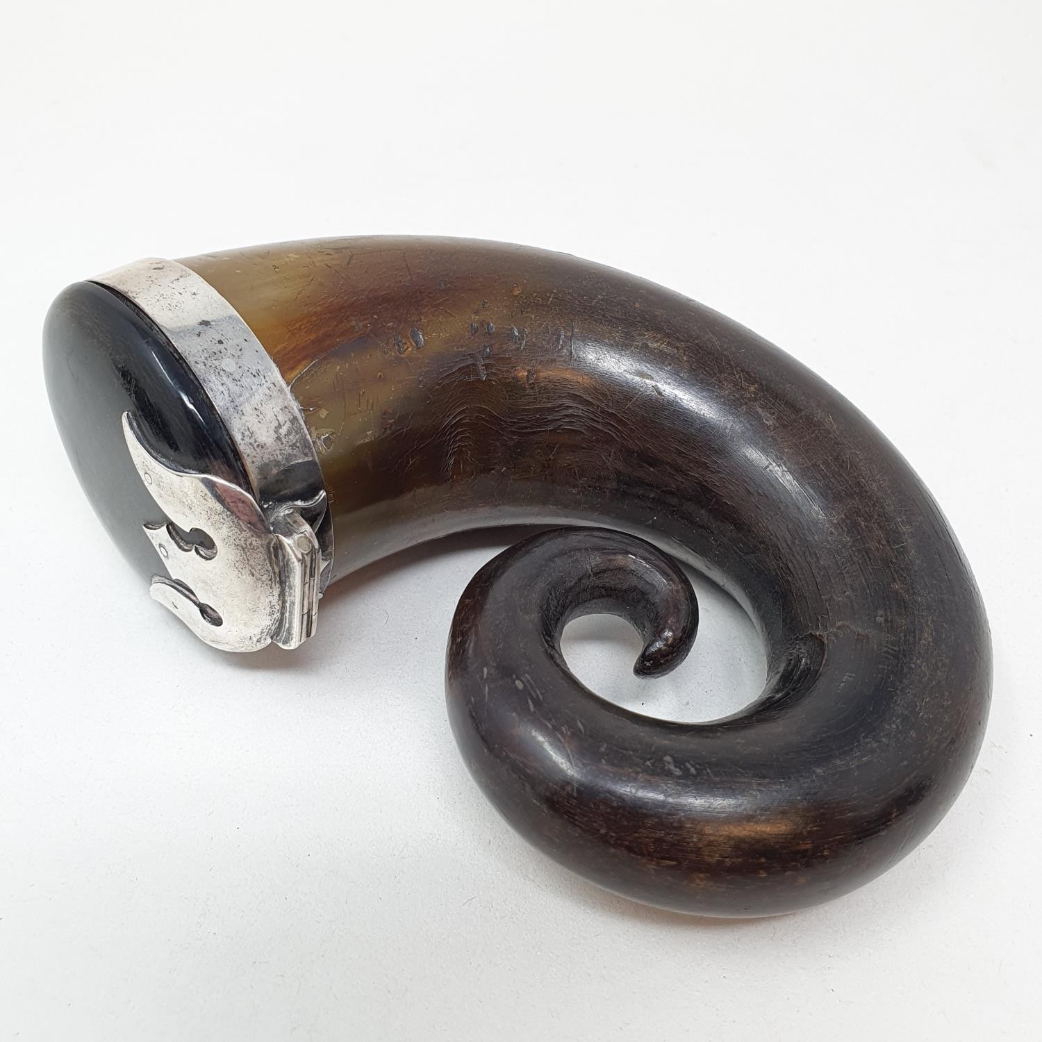 A 19th century Scottish horn snuff mull, with a silver coloured metal mount, 14 cm wide