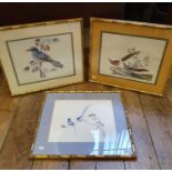 A set of three prints of birds, 30 x 41 cm, in faux bamboo frames (3)
