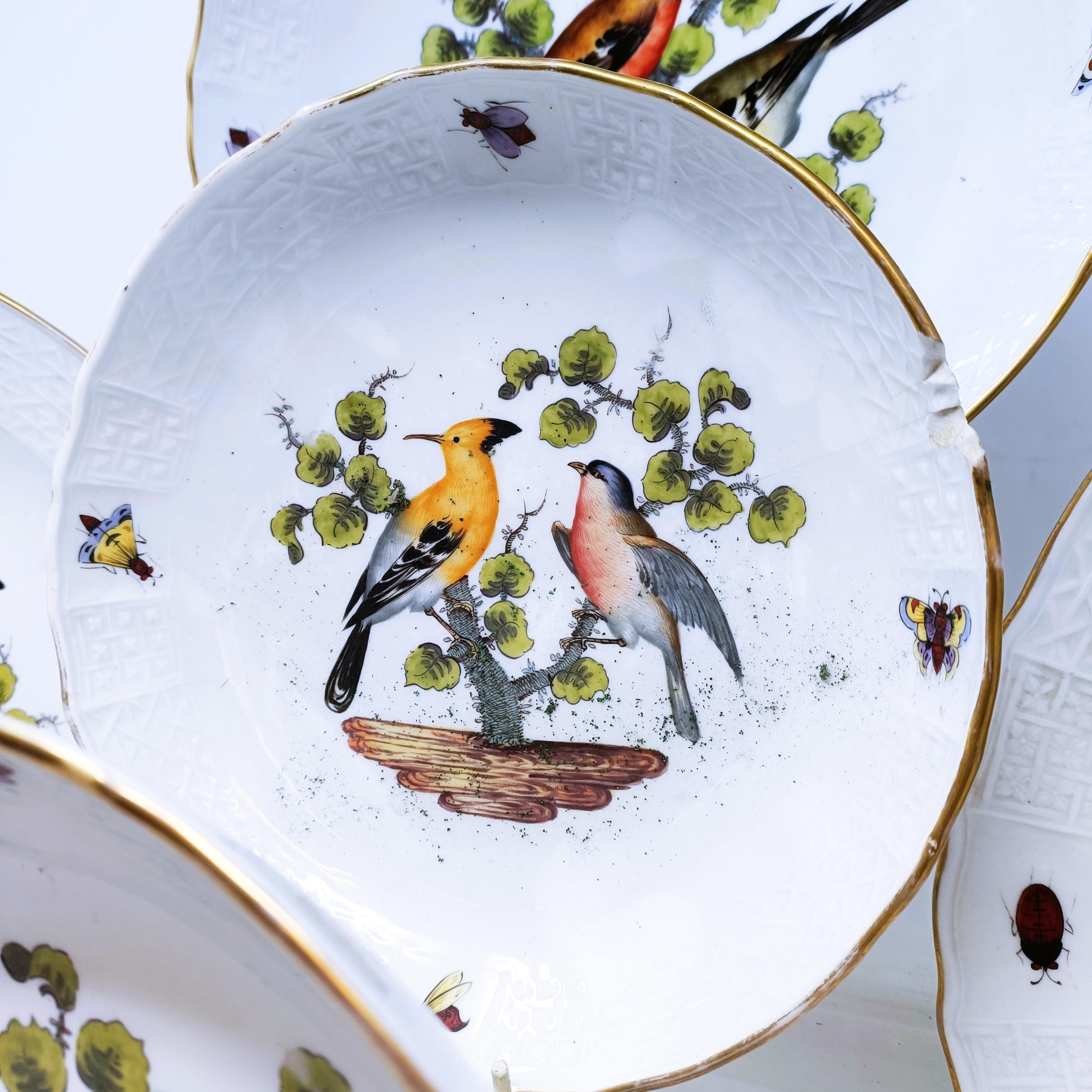 An extensive Meissen Augustus Rex Ornithological dinner service, decorated exotic birds, insects and - Image 15 of 25
