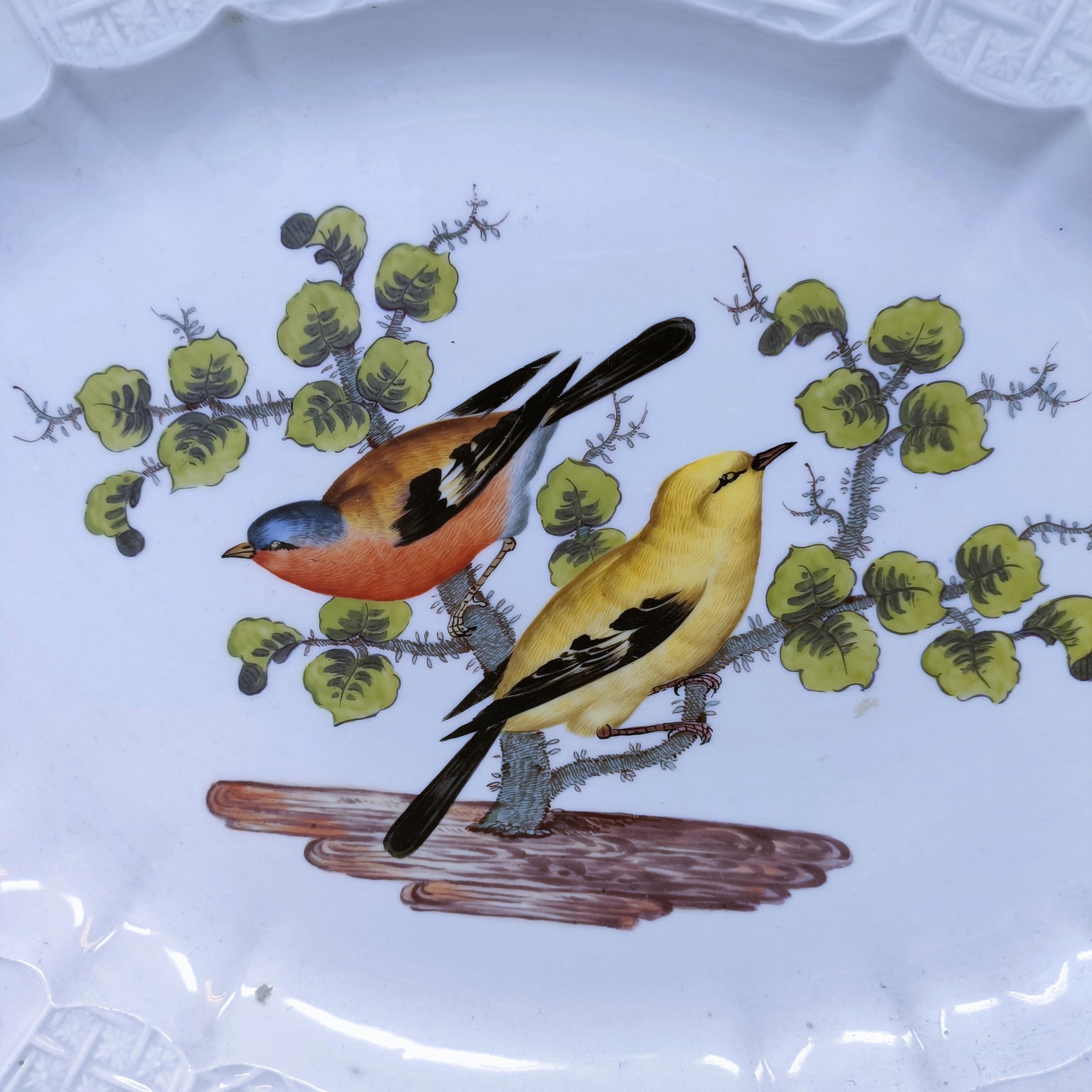 An extensive Meissen Augustus Rex Ornithological dinner service, decorated exotic birds, insects and - Image 12 of 25